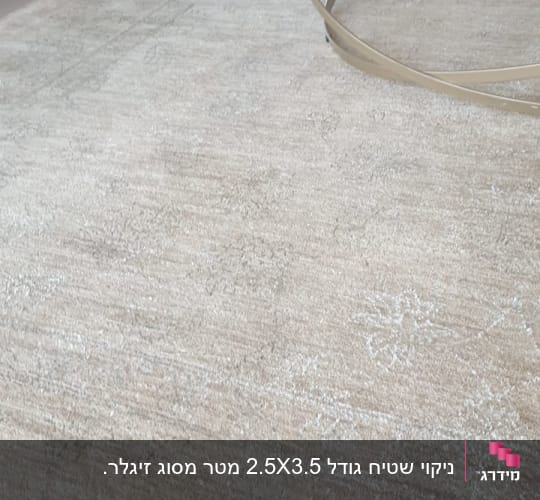 שטיח בהיר עם דוגמאות עדינות על רצפה מבריקה